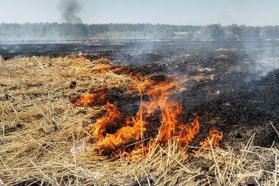 Panoramic shot of fire on field