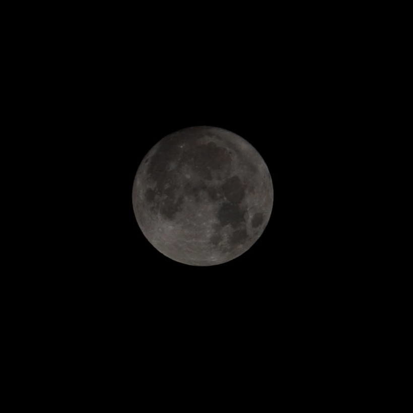 LOW ANGLE VIEW OF FULL MOON IN SKY