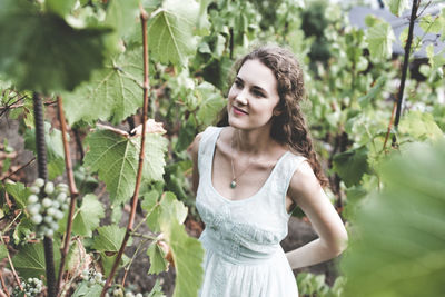 Beautiful curly hair young woman in a light blue simple dress in a vineyard