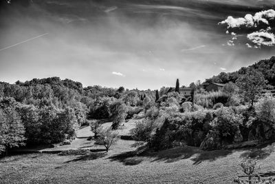 Trees on landscape against sky