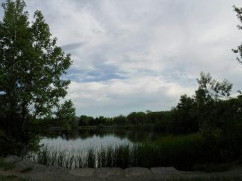 Scenic view of lake in forest against sky