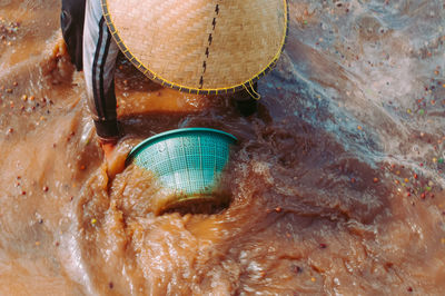 High angle view of fish in water