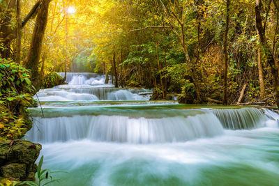 Colorful majestic waterfall in national park forest during autumn - image