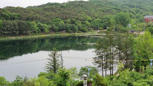 Scenic view of lake by trees