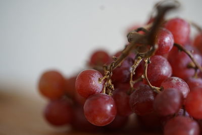Close-up of grapes on table