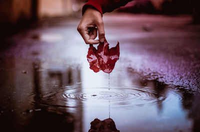 Close-up of person holding leaf over puddle road