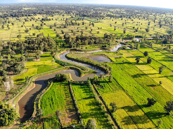 Aerial view of agricultural field