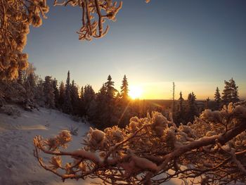 Scenic view of snow covered land against sky during sunset