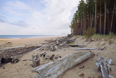 Scenic view of beach against sky