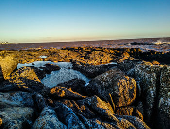 Scenic view of sea against clear sky