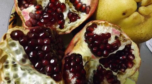 Close-up of served food