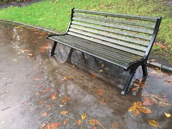 High angle view of leaves
