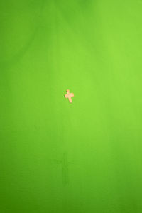 Full frame shot of green wall