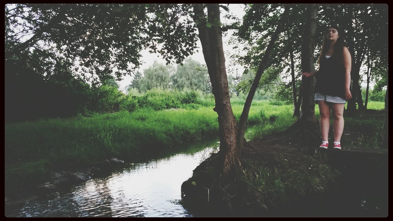 transfer print, water, tree, auto post production filter, lifestyles, leisure activity, tranquility, tranquil scene, lake, standing, nature, grass, scenics, men, sky, growth, beauty in nature, person