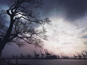 Bare trees against sky