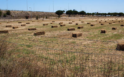 Hay bales on field against sky