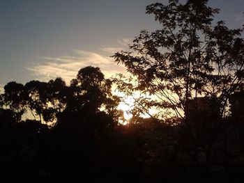 Low angle view of silhouette trees against sky at sunset