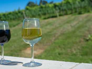 Close-up of wine glasses on table