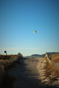 View of bird flying over land against clear sky