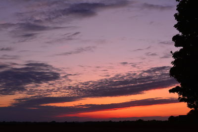 Low angle view of silhouette trees against romantic sky