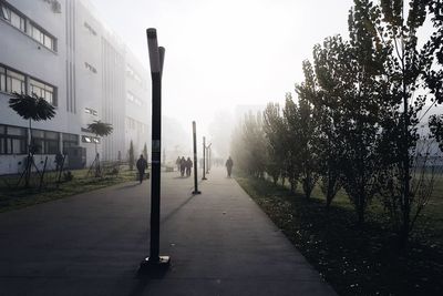 Street amidst trees in city against sky