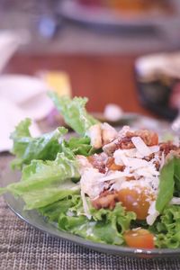 Close-up of salad in plate
