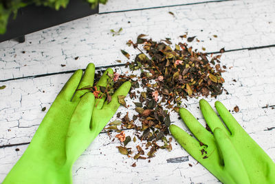 High angle view of leaves on table