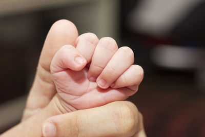 Close-up of adult hand holding baby's hand