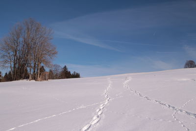 Scenic view of snow covered land against sky