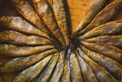 High angle view of smoked sardines