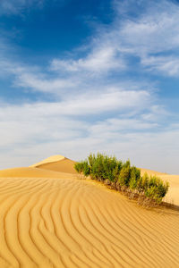 Scenic view of desert against sky