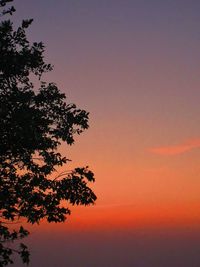 Low angle view of silhouette tree against romantic sky