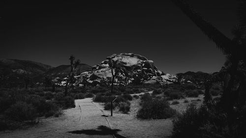 Panoramic view of land and trees against sky