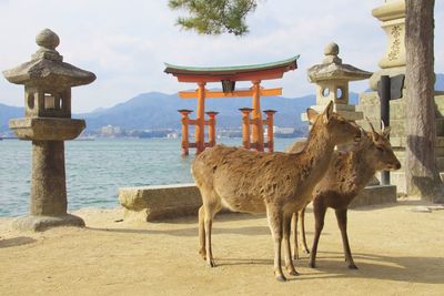 View of built structure against sky