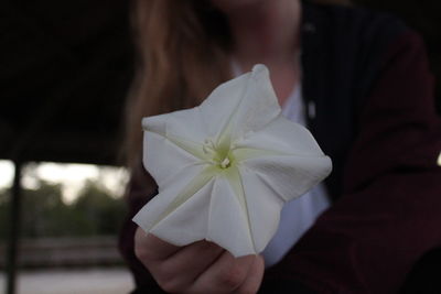 Close-up of hand on flower