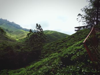 Scenic view of green mountains against sky