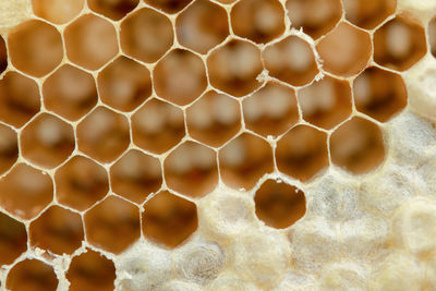 Full frame shot of patterned wall