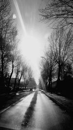 Road passing through bare trees