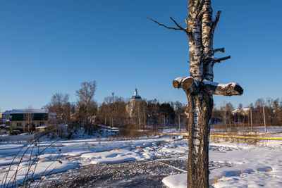 Bare tree on snow covered field against clear blue sky