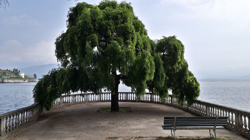 Trees on bench by sea against sky