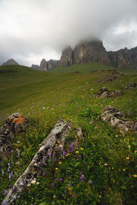 Scenic view of landscape against sky