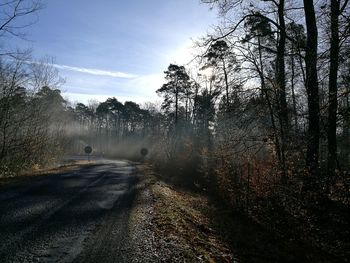 Road amidst trees in forest against sky