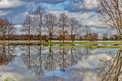 Reflection of bare trees in lake against sky