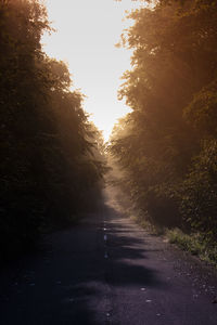 Road amidst trees against clear sky