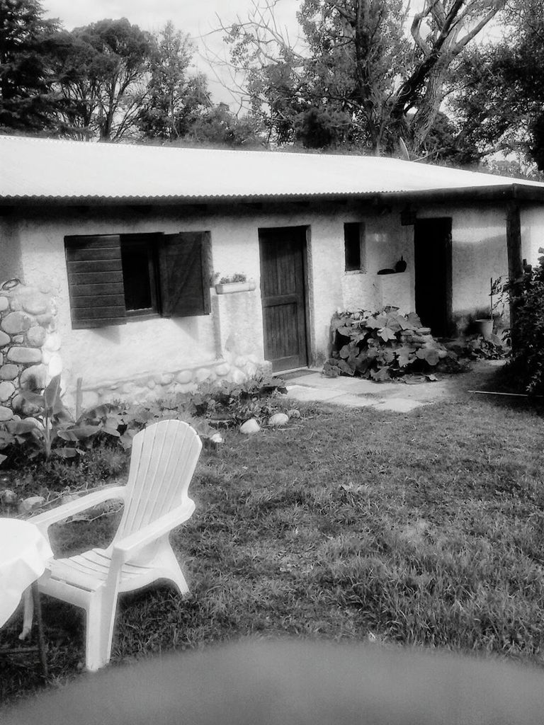 architecture, built structure, building exterior, house, tree, residential structure, residential building, window, sunlight, building, day, plant, grass, outdoors, no people, lawn, front or back yard, shadow, growth, facade