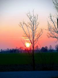 Silhouette bare tree by lake against sky during sunset