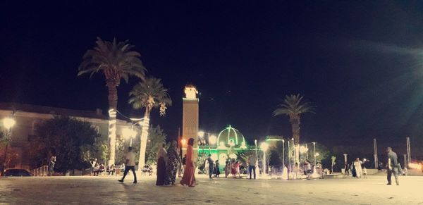 Group of people by palm tree at night