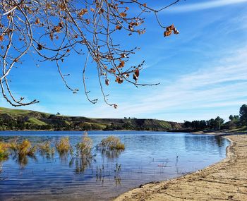 Scenic view of lake against blue sky