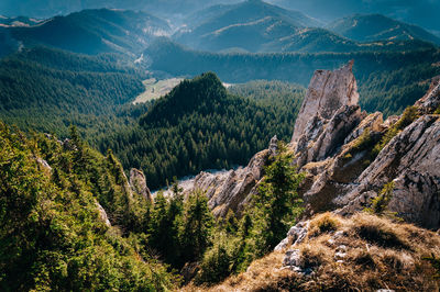 High angle view of trees and mountains