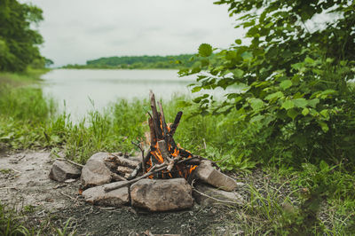Burning fire with wood and bright orange flame in green summer forest near lake, summer sea camping